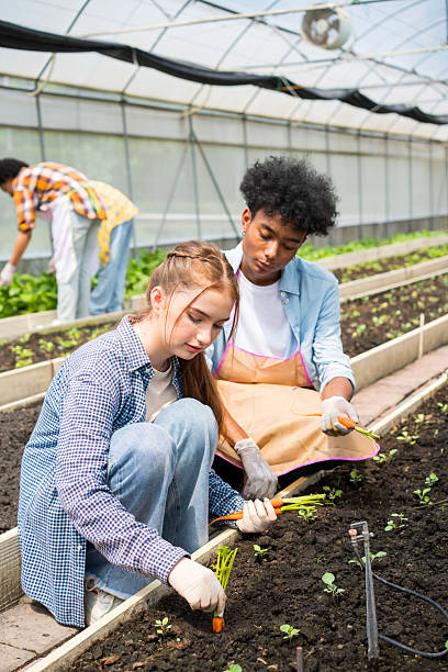 istock Young men and women works at vegetables garden. 2213469721
