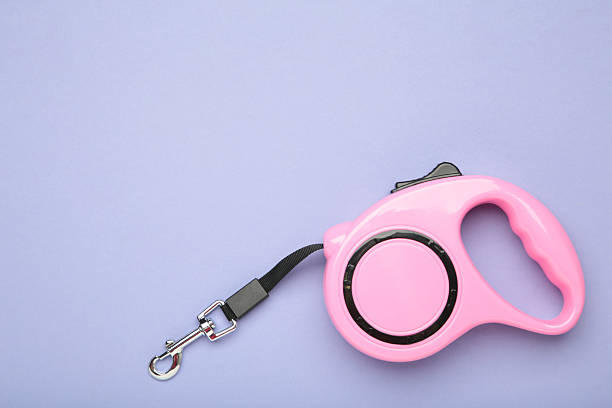 istock Pink plastic durable and ergonomic leash roulette for pets on purple background. Convenient mechanical device for keeping and controlling dog in street. 2213471125