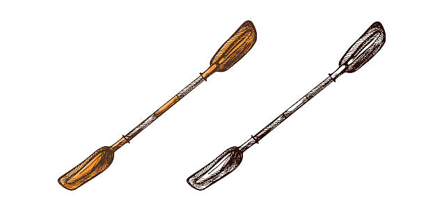 Hand drawn vintage colored and black  sketch of a double-bladed kayak paddle isolated. Perfect for rafting, canoeing, kayaking, and outdoor water adventure designs. Nautical vector illustration in black and white.