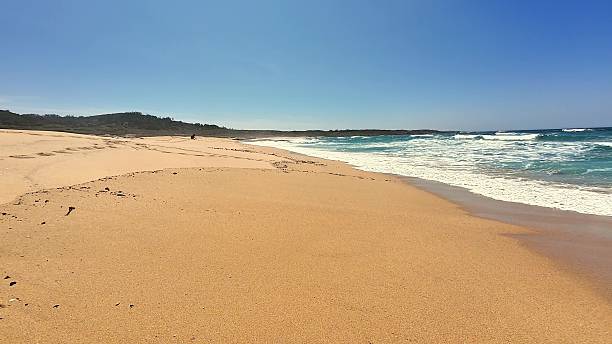istock A beautifully scenic beach featuring exquisite golden sand alongside a clear blue sky 2213472131