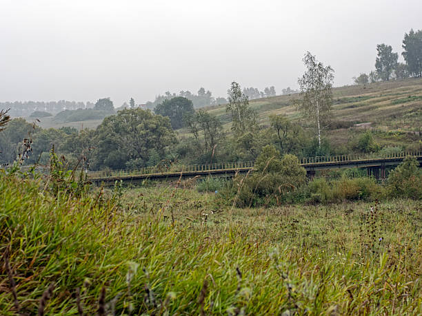 istock the bank of a small river in spring 2213474310