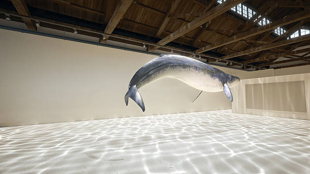 Fish, Art, Virtual Reality, Surreal, Surrealism