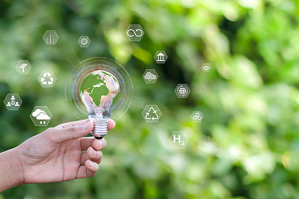 istock Environmental and ecology concept hand holding light bulb with green earth energy inside on nature background 2213478163