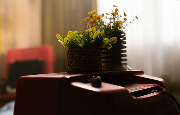 A cozy scene with lush indoor plants in woven baskets sitting atop a vintage television set, against a softly lit backdrop.