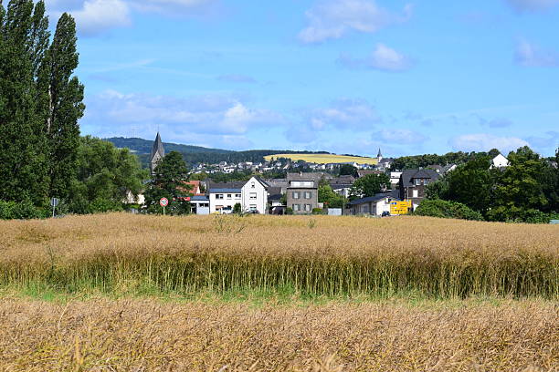 istock grain fields in front of a village 2213479661