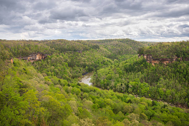 istock River Overlook at Big South Fork National River and Recreation Area 2213480742