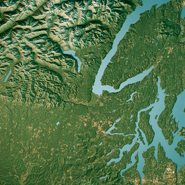 istock Mason County WA Satellite Topographic Map 3D Render True Color 2213481382