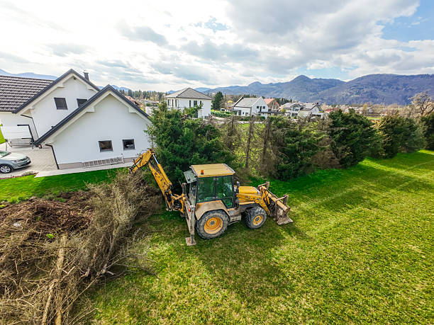 From above, a backhoe loader is seen methodically clearing pine trees from a forested area, its articulated arm uprooting trunks with mechanical precision. The once-dense canopy now shows patches of exposed earth and scattered logs, revealing the transformation brought on by land-clearing operations. The machine's yellow frame contrasts starkly against the deep green of the surrounding forest, emphasizing the intervention of human technology in a natural landscape. This aerial view captures the raw process of forestry work — the intersection of utility, industry, and environment.