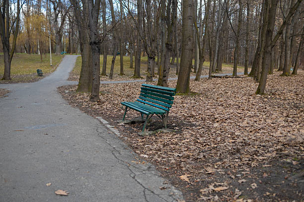 istock Empty Green Park Bench Along a Path in an Autumn Park 2213482786