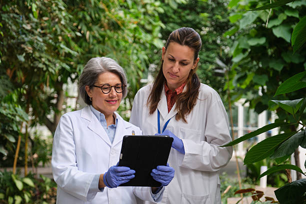 istock Agricultural scientists using digital tablet in greenhouse 2213487050