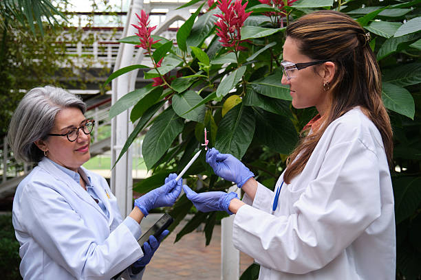 istock Scientists taking samples of plants in greenhouse for research 2213488205