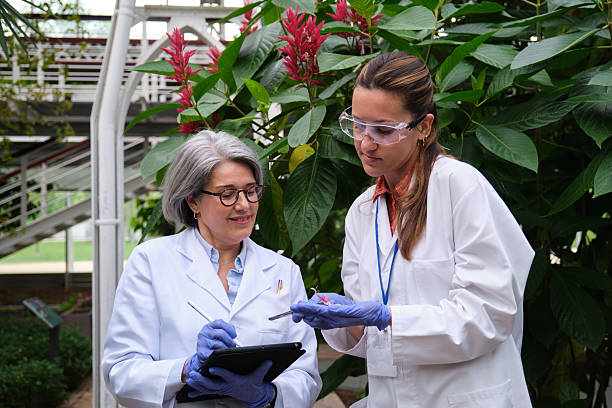 Agricultural engineers examining plants and taking notes on a digital tablet in a greenhouse