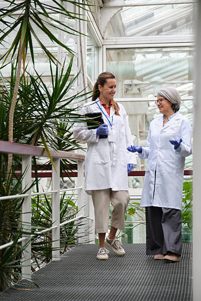 istock Scientists walking and talking in a greenhouse 2213488499