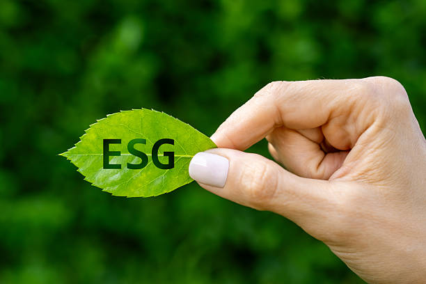 istock ESG concept with green leaf in hand 2213488655