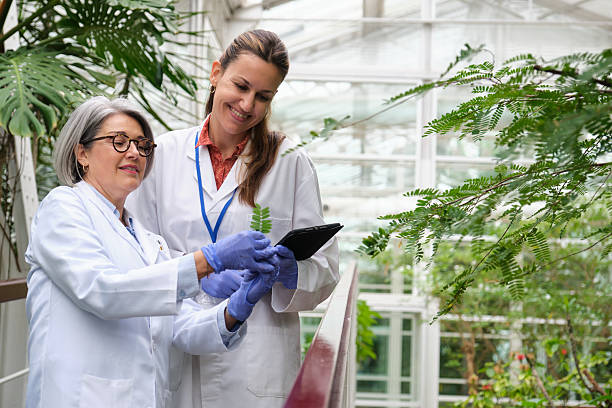 istock Scientists examining plant sample in greenhouse using tablet 2213489116