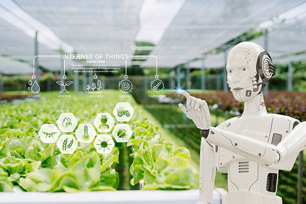istock Robotic Innovation in Smart Agriculture with IoT Technology 2213494506