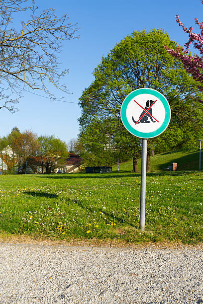 istock This image captures a tranquil park with lush greenery and a clear sign prohibiting dogs. 2213495402