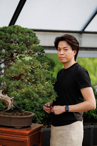 istock Asian florist holding scissors near juniper bonsai tree 2213502265