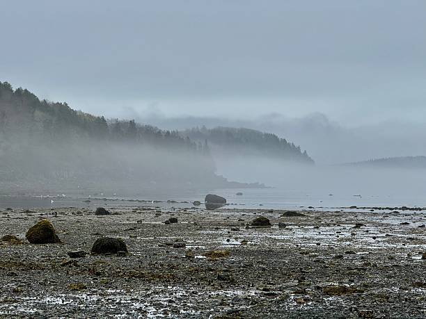 istock New England Coastline Island 2213512228