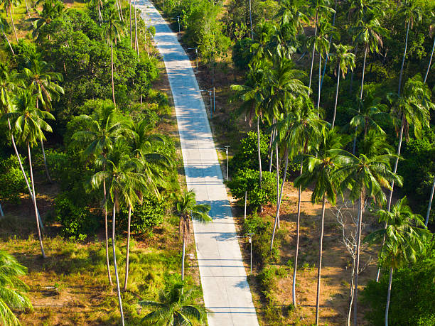 A serene winding road meanders through a vibrant tropical landscape, surrounded by lush green palm trees under a clear sky