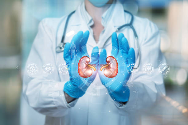 istock Doctor highlights kidney health tech 2213516416