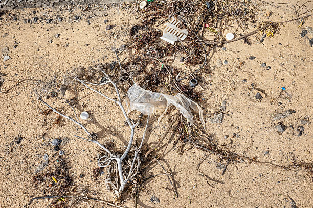 This image captures plastic debris scattered across the sandy shoreline of La Santa Beach in Lanzarote. Among the natural elements—such as volcanic rocks, dried seaweed, and small pebbles—fragments of discarded plastic stand out, highlighting the impact of marine pollution on coastal ecosystems. The scene serves as a stark reminder of the urgent need for responsible waste management and ocean conservation efforts to preserve the island’s fragile environment.