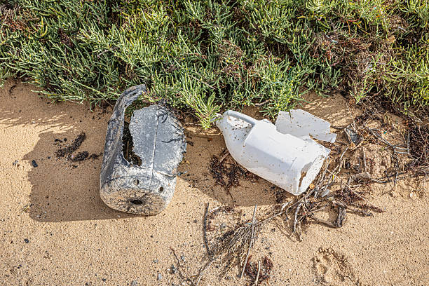 This image captures two broken plastic jugs that have washed ashore on the sandy beach of La Santa in Lanzarote. The jugs, one black and one white, are partially buried in the sand and surrounded by green vegetation. The scene highlights the issue of plastic pollution in marine environments, showcasing the impact of human waste on natural landscapes.