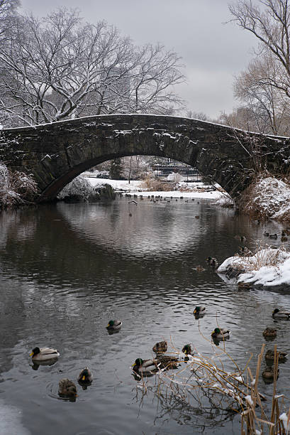 istock New York City / Central Park 2213520254