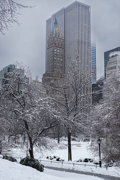 istock New York City / Central Park 2213520274