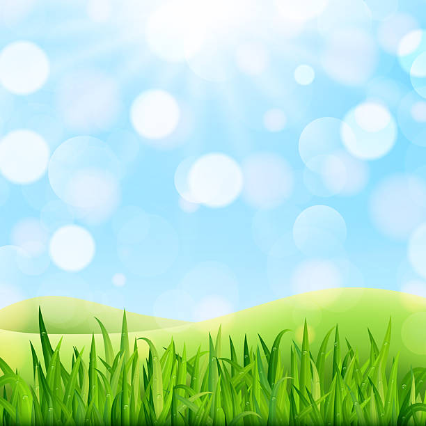 istock Summer meadow landscape with green grass, flowers, hills and sun. Vector illustration 2213524605