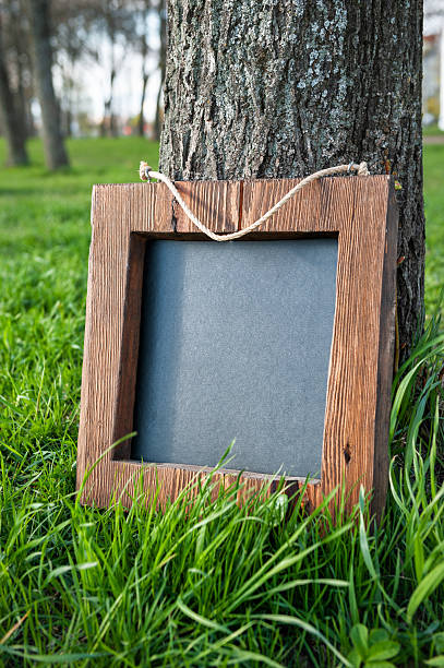 istock Rustic wooden empty chalkboard leans on tree in green grass 2213534537