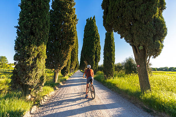 istock Man cycling a rural road among cypresses 2213535935