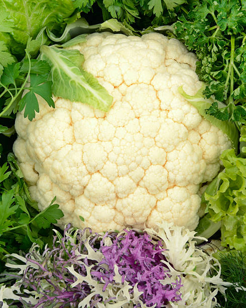 istock assortment of fresh, green leafy vegetables 2213538800