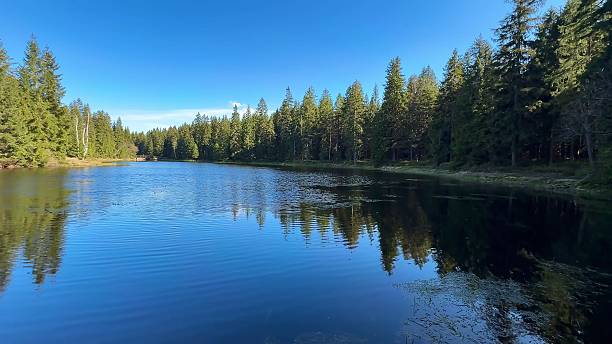 istock Experience a Serene Lake View that is Surrounded by Beautiful and Lush Forests and Nature 2213542311