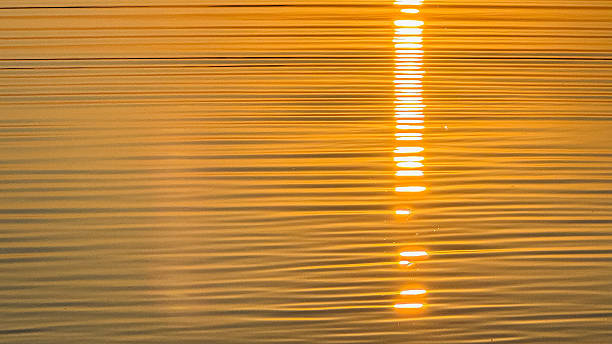 istock Golden sunset reflection on rippling water creating a warm tranquil ambiance with striking horizontal light patterns on the surface 2213543443
