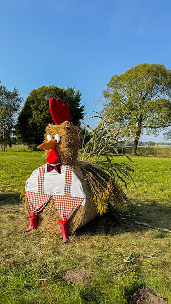 istock Creative hay bale art installation resembling a chicken in rural setting with lush greenery and clear sky on a sunny day 2213543548