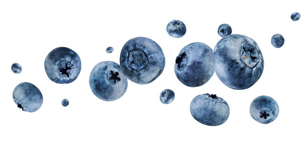 istock Blueberries flying and levitating in space. Isolated on white 2213546394