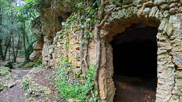 istock Ancient ruins in lush forest, Liguria 2213548452