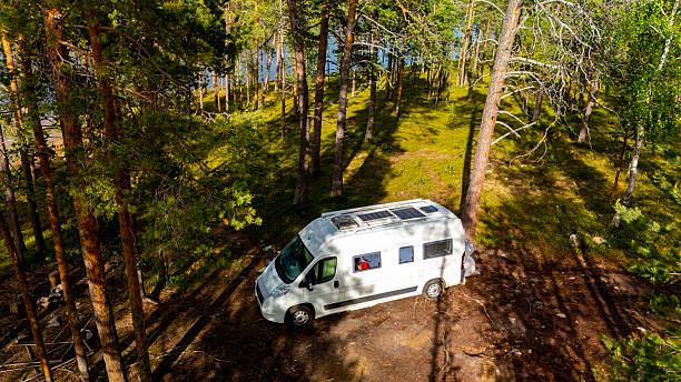 istock Discover tranquility in the Norwegian woods with a cozy camper van escape 2213550280