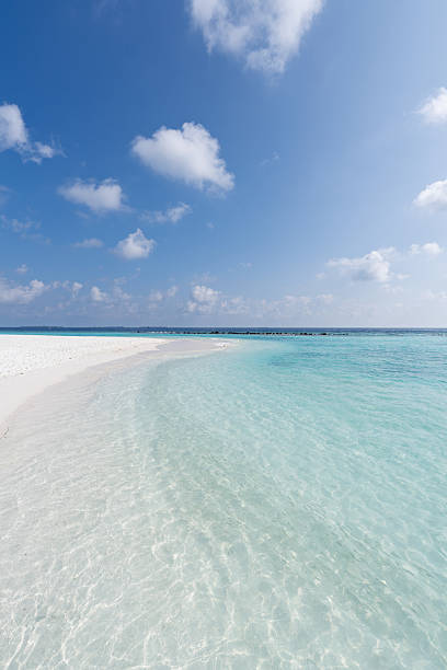 istock Crystal clear water laps a white sand beach in the Maldives 2213552373