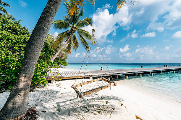istock Relaxing swing hanging between palm trees on Maldives beach 2213552378