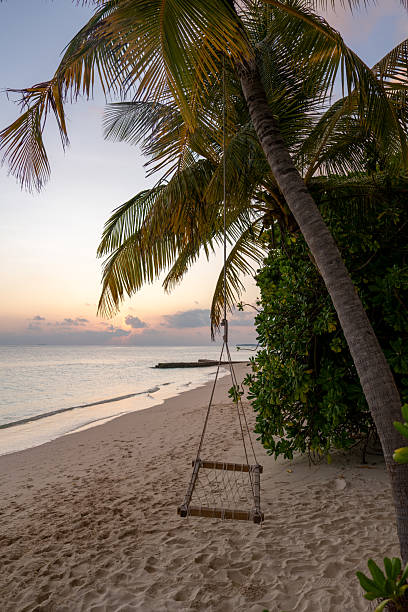 istock Swinging under a palm tree on a Maldives beach at sunset 2213552437