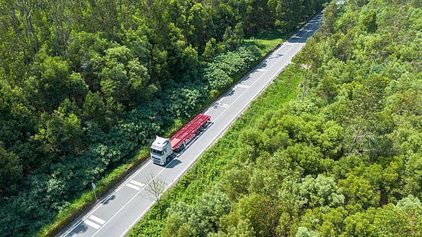 istock Large truck transporting goods through lush forest road 2213558245