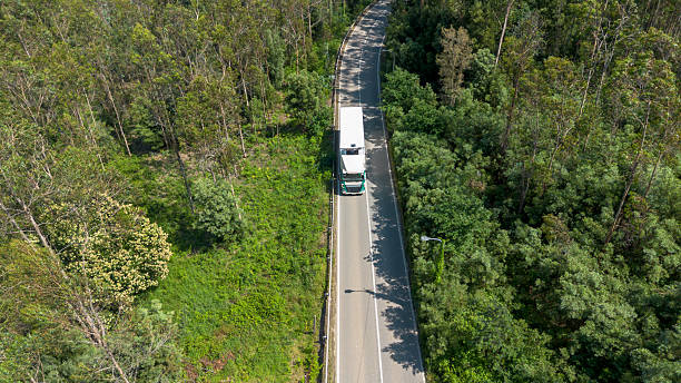 istock Truck navigating through lush forest road 2213558337
