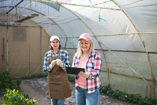 istock Mature women working using digital tablet at greenhouse 2213563866