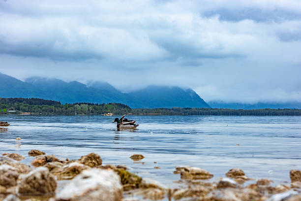 Cloudy day on Lake Chiemsee in Bavaria