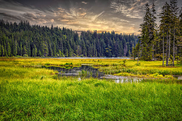 istock Arbersee Bavaria Germany, Bavarian Forest 2213567538