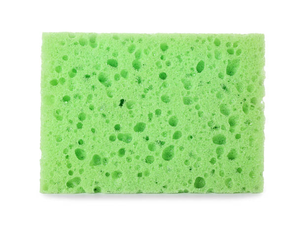 istock One green sponge isolated on white. Cleaning supply 2213568142