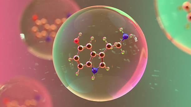 istock Highly detailed molecular structure of Serotonin molecule with visible atomic bonds and color-coded atoms on blurred scientific background, conceptual 3D render for chemistry and biochemistry visualization 2213576120