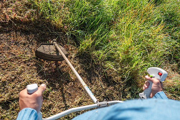 istock Farmer with brushcutter cutting weeds 2213576780